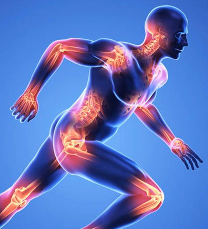 Spine Rehabilitation Centre in Vasant Kunj Delhi